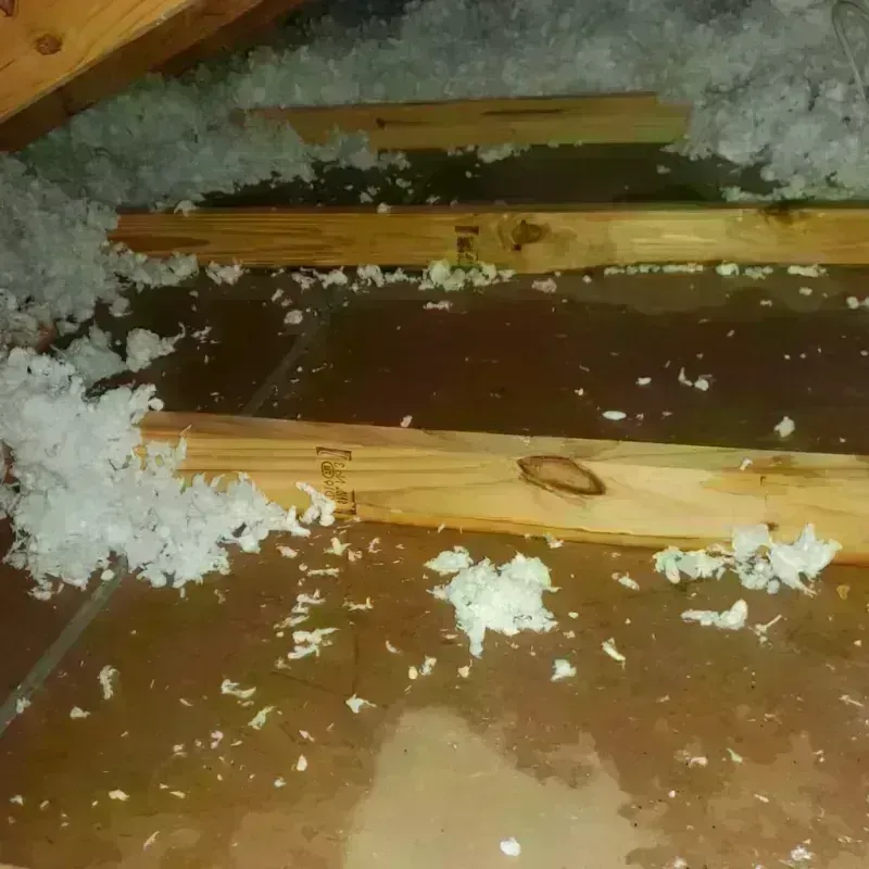 Attic Water Damage in Spring, TX