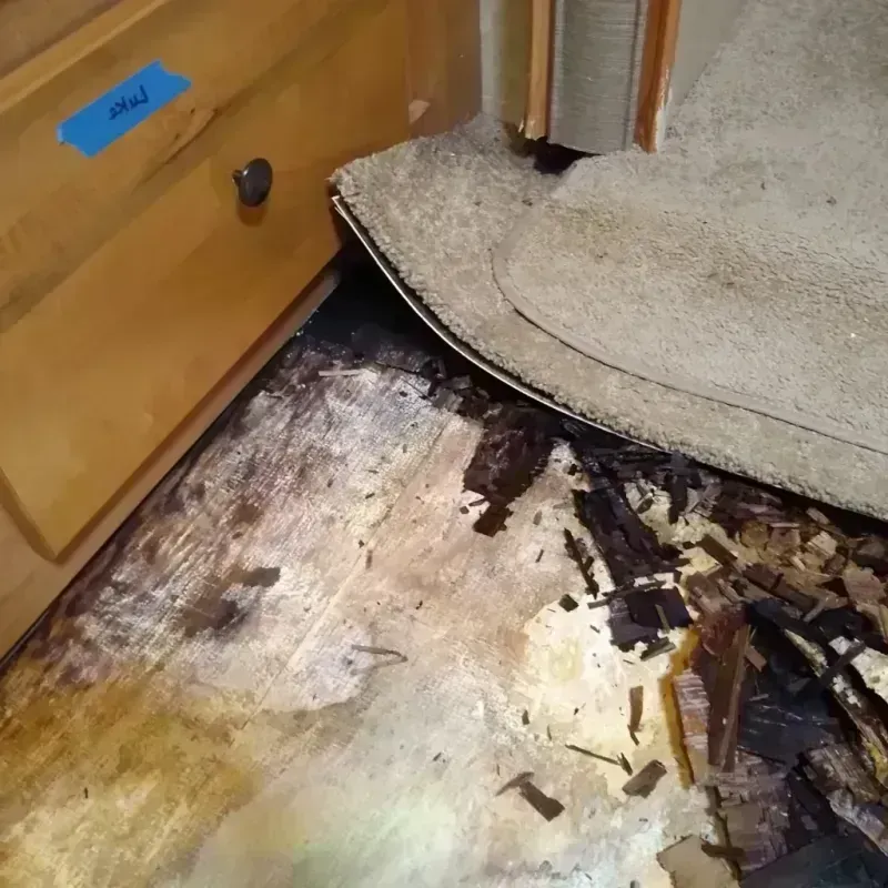 Wood Floor Water Damage in Spring, TX